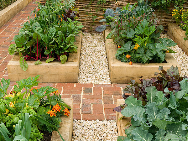 Image of raised beds in a potager garden in a backyard. The beds are filled with vegetables and herbs. The garden is a great example of Eco-Conscious backyard design ideas. 